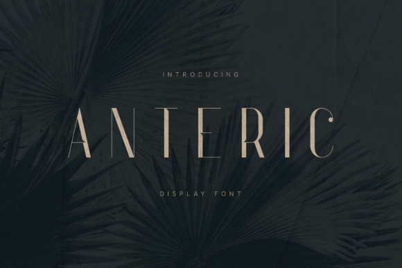 Anteric: A Refined Display Serif for Bold Branding