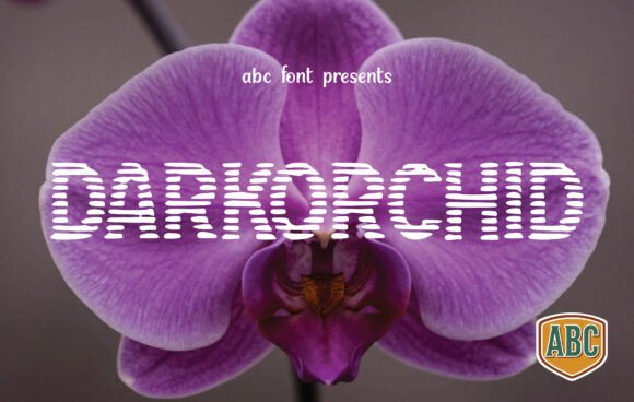Darkorchid: The Serif Font for Timeless Luxury